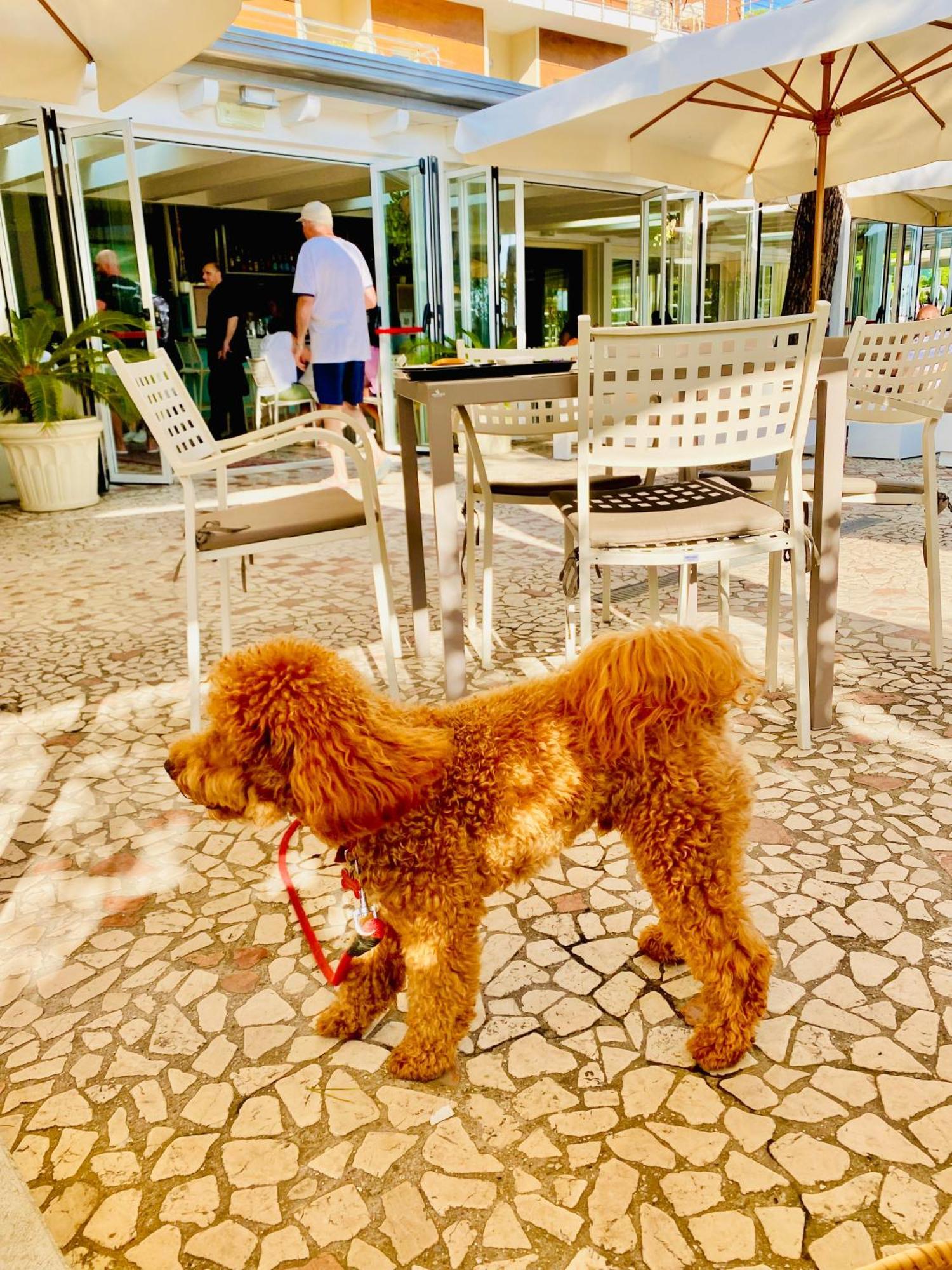 Hotel Franca ميلانو ماريتيما المظهر الخارجي الصورة